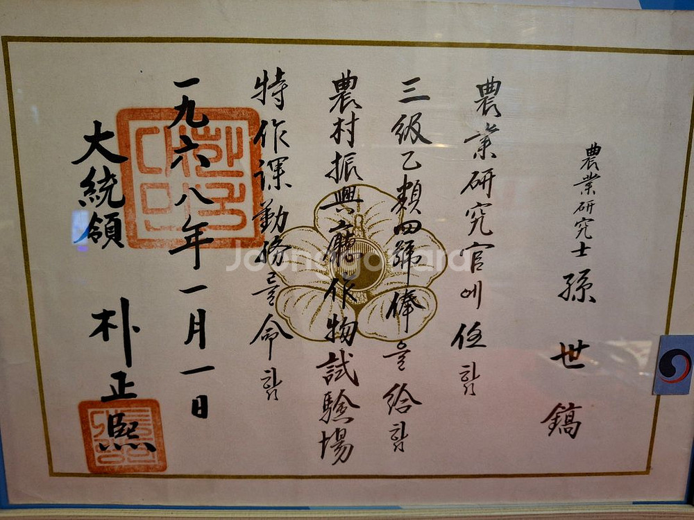 1968년 박정희대통령 임명장--1