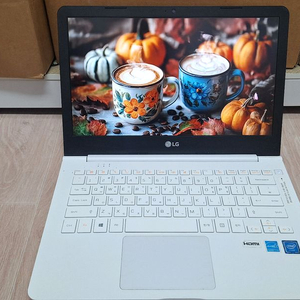13인치 LG 울트라PC 13U360 모델입니다