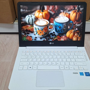 13인치 LG 울트라PC 13U360 모델입니다