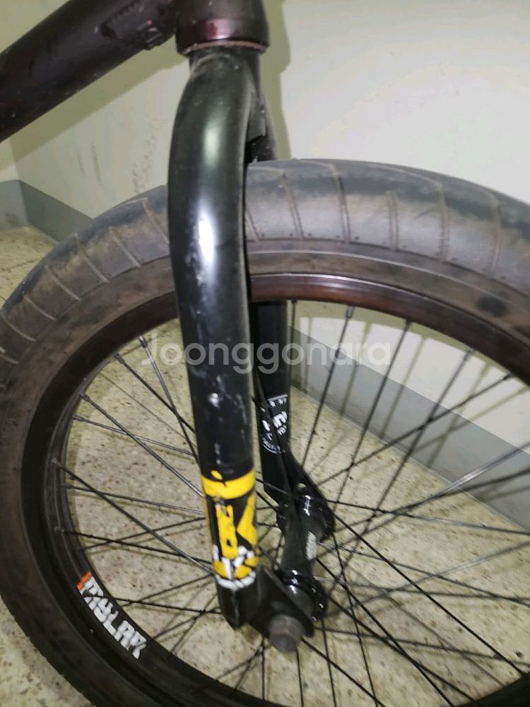킨크bmx 급급급급처--2