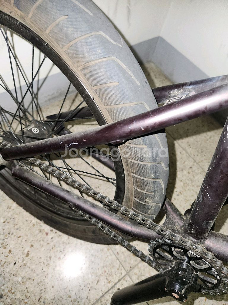킨크bmx 급급급급처--1