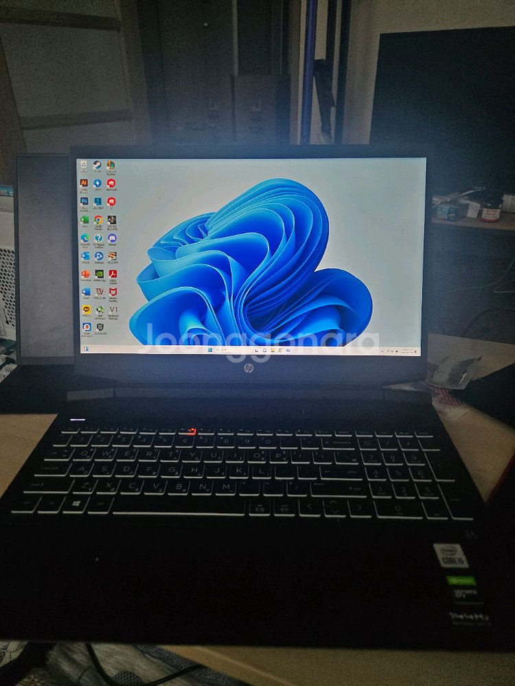 hp 파빌리온 1650ti--1