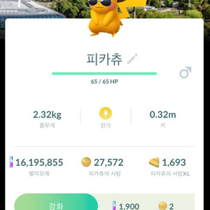 포켓몬고 독일 베를린 배경 로케 이로치 피카츄 판매
