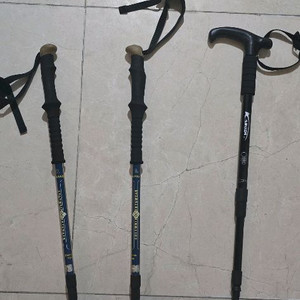 등산스틱