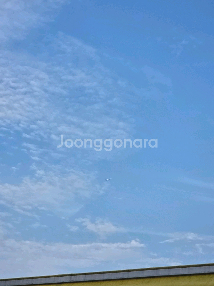 시부야스카이17 30~ 19시30분 티켓4장삽니다--0