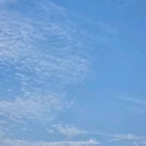 시부야스카이17 30~ 19시30분 티켓4장삽니다