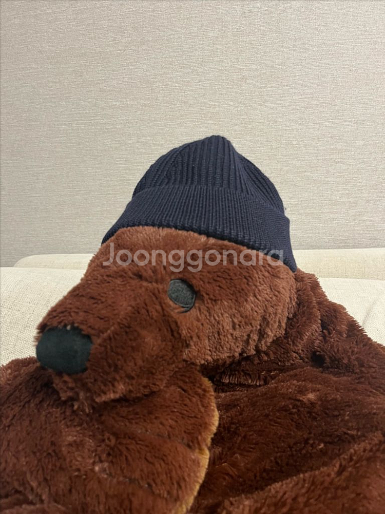 안데르센안데르센 비니--1