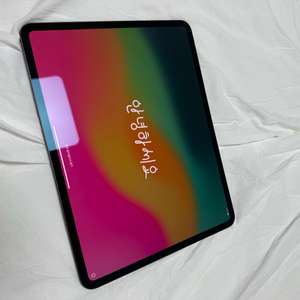 아이패드 프로 m4 13인치 256GB + 정품 케이스
