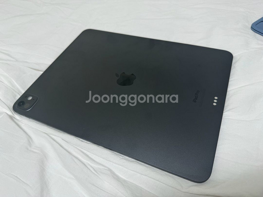 아이패드 프로 m4 13인치 256GB + 정품 케이스--6