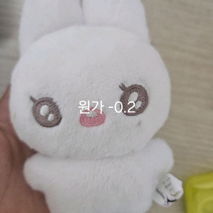 징니니 판매
