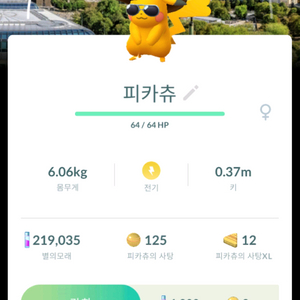 포켓몬고 독일 베를린 배경로치(급처)