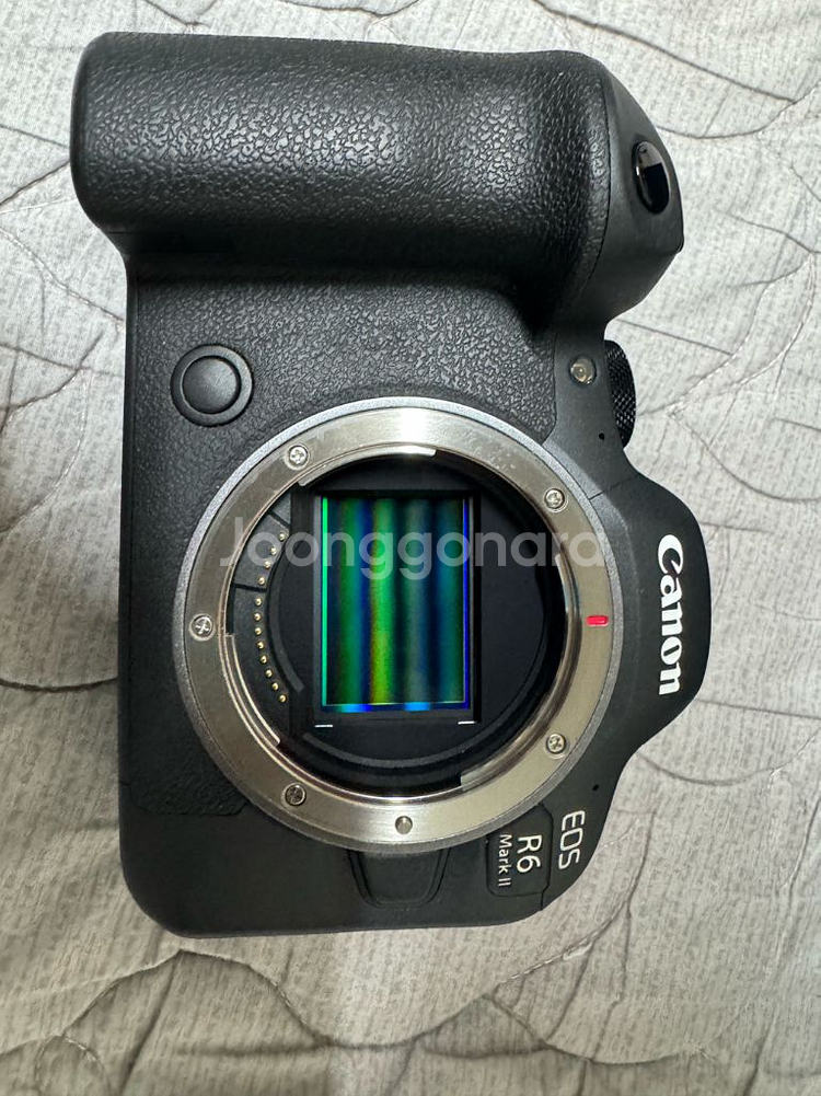 캐논 EOS R6 mark2 판매합니다 상태 좋음--4