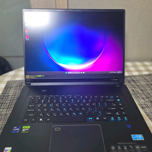 에이서 트리톤17X i9 RTX4090 노트북 팝니다