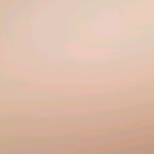 그래픽카드 rtx 2070 2080 12에 한번 사봐요