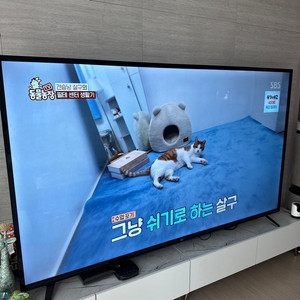 샤오미 4k 100인치 TV 팝니다.