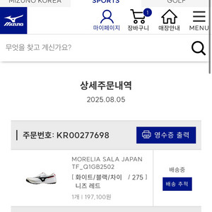미즈노 살라 재팬 TF OG 275 신형