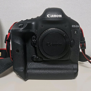캐논 1DX