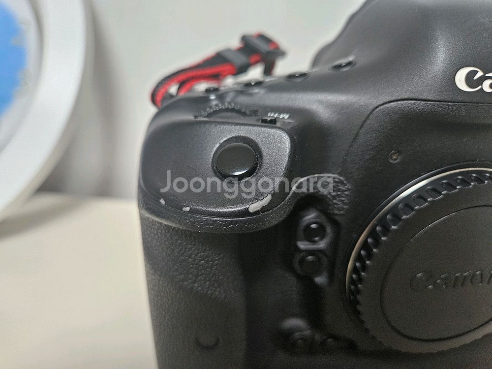 캐논 1DX--4