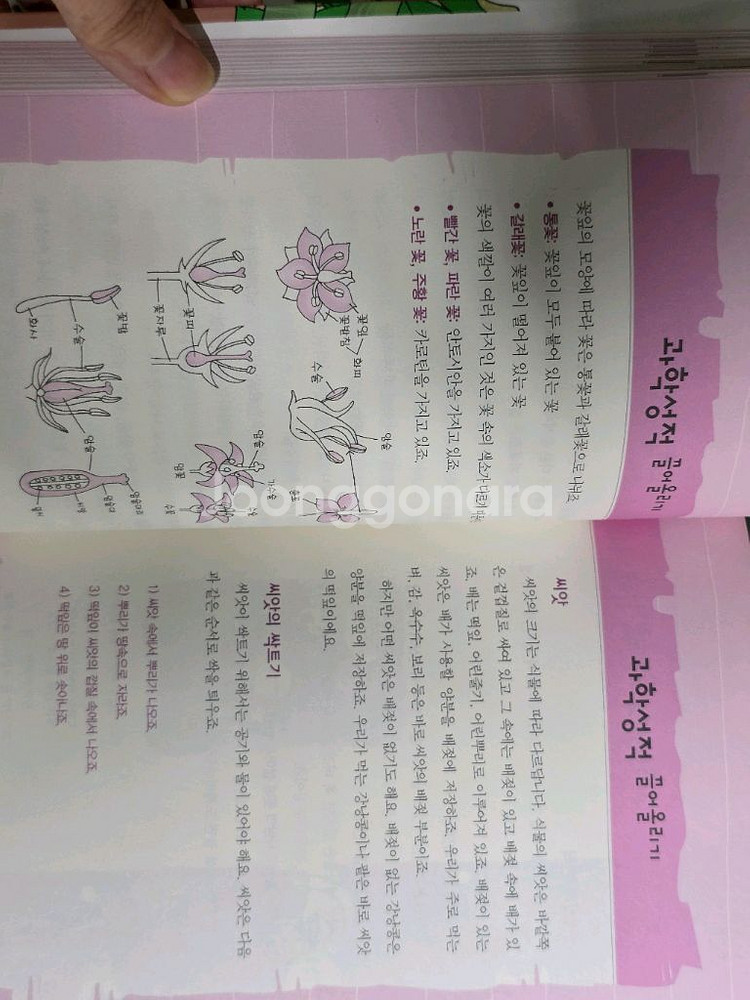 과학공화국 법정시리즈--2