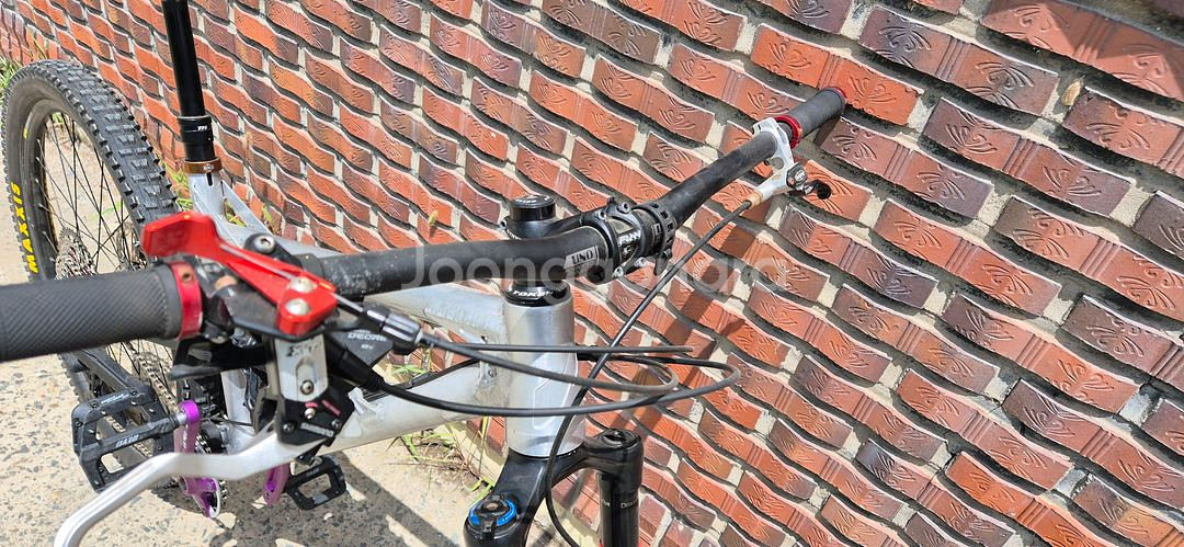 니꼴라이 이온 올마운틴--5