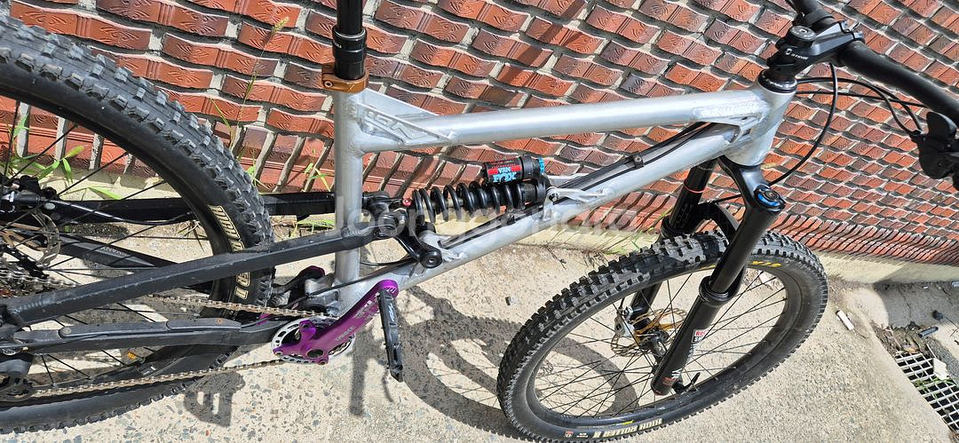 니꼴라이 이온 올마운틴--3