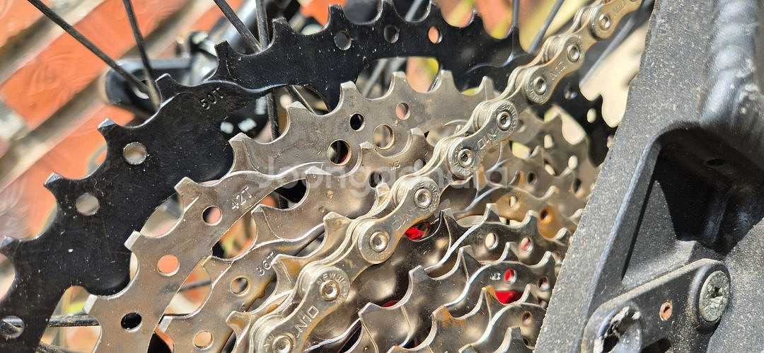 니꼴라이 이온 올마운틴--7