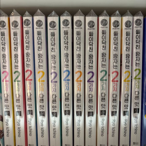 들이닥친 왕자는 2가지 다른맛(1~12권