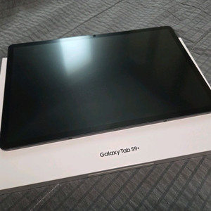 삼성 갤럭시 탭 S9+ (s9 플러스) 256