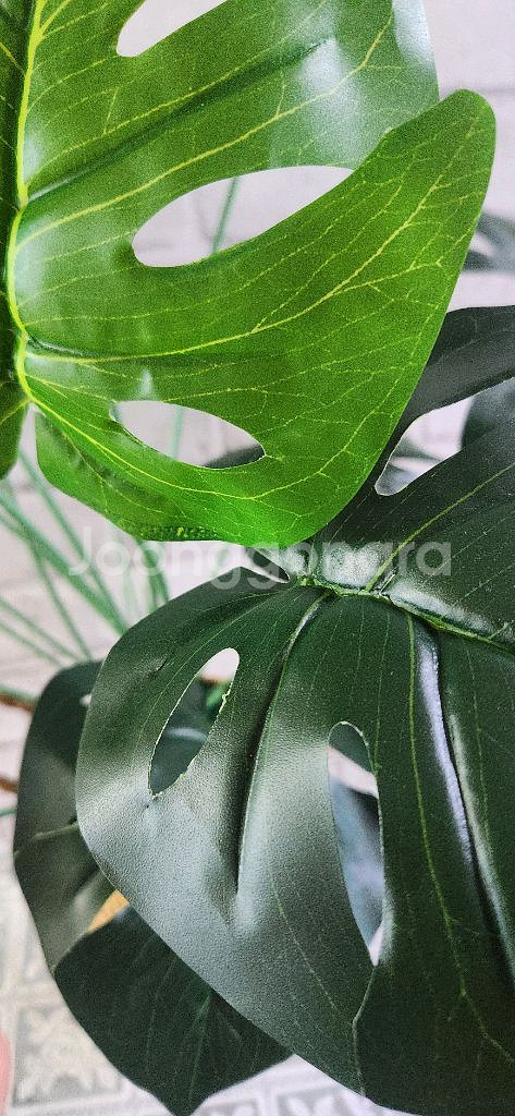 새상품)대형 몬스테라 조화 해초바구니 인테리어소품--4