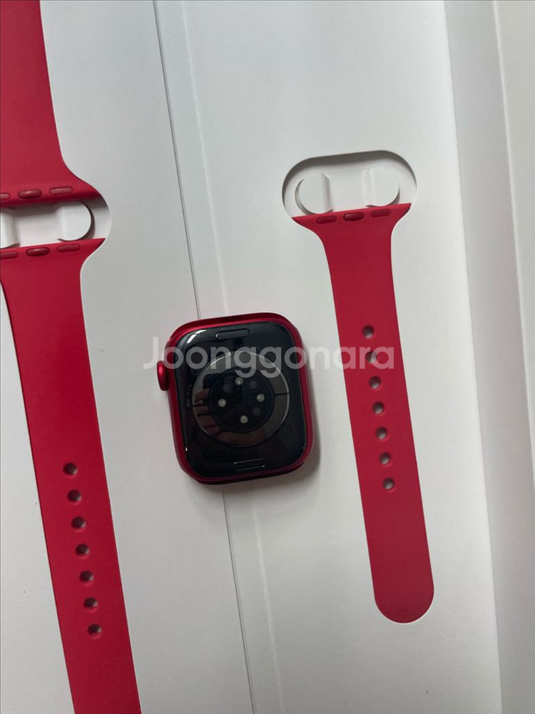 애플워치8셀룰러 41mm SSS급--1