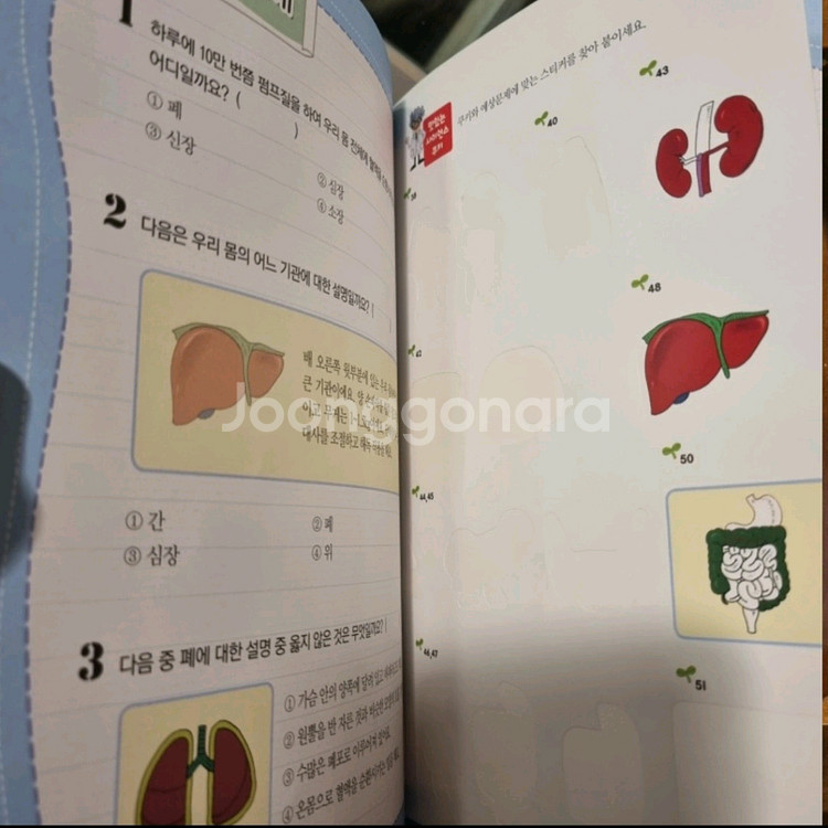 황우 똑소리 과학 48권--3