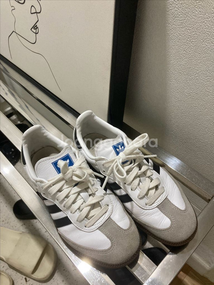 아디다스 삼바og 화이트 240--0