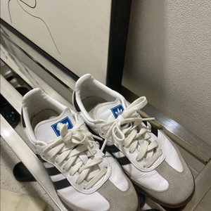아디다스 삼바og 화이트 240