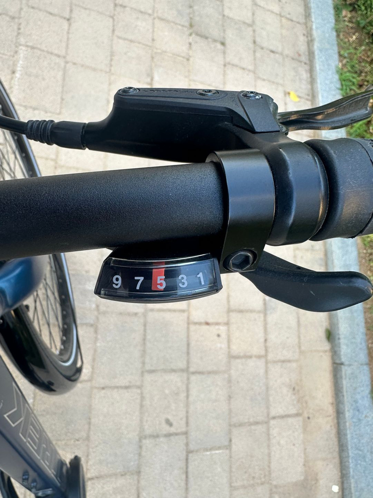 트렉 FX+ 2 전기자전거 L사이즈 이미지