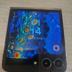 갤럭시 Z Flip 5 민트 512