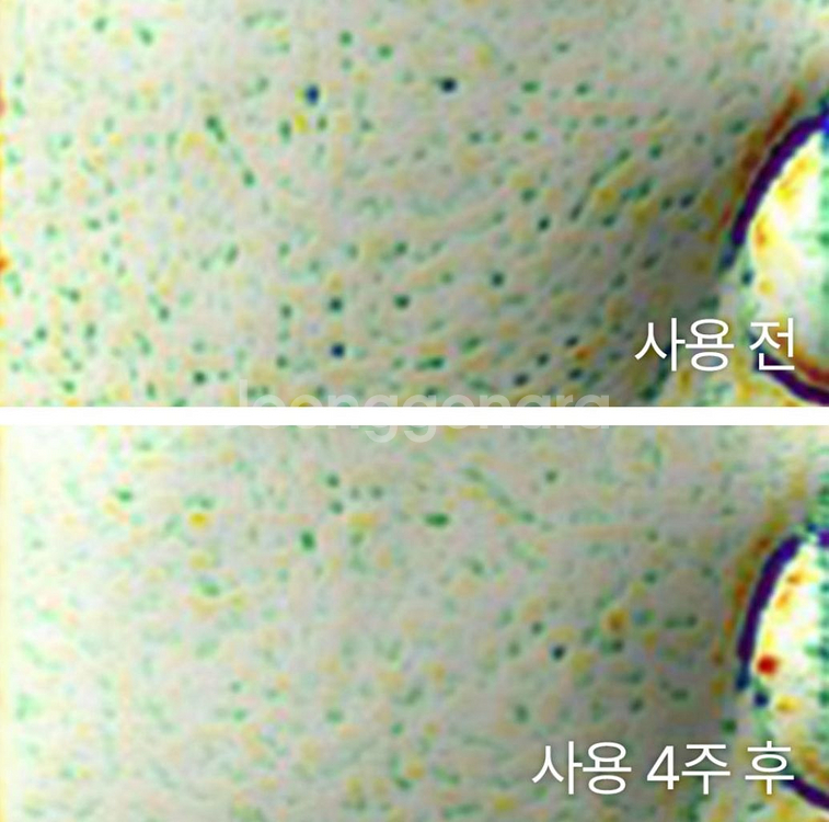 이니스프리 블랙티 유스 인헨싱 앰플--1