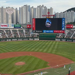 8/10 롯데 vs SSG 티켓 양도합니다
