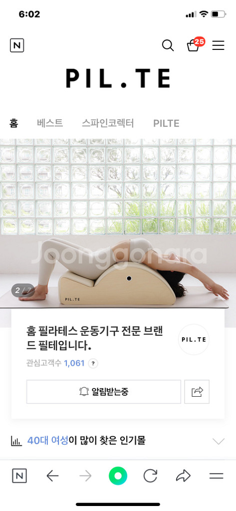 필테 스파인코렉터 스코멕스--1