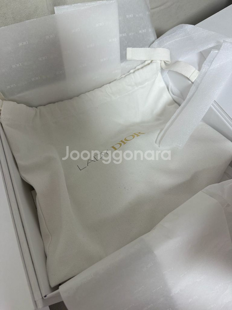 디올 오블리크 새들 체인백--7