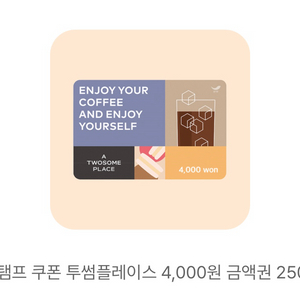 투썸플레이스 4000원 금액권