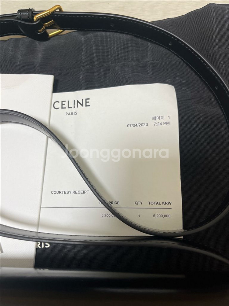 셀린느 트리옹프--1