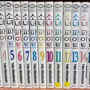 소녀파이트 1-18권 만화책