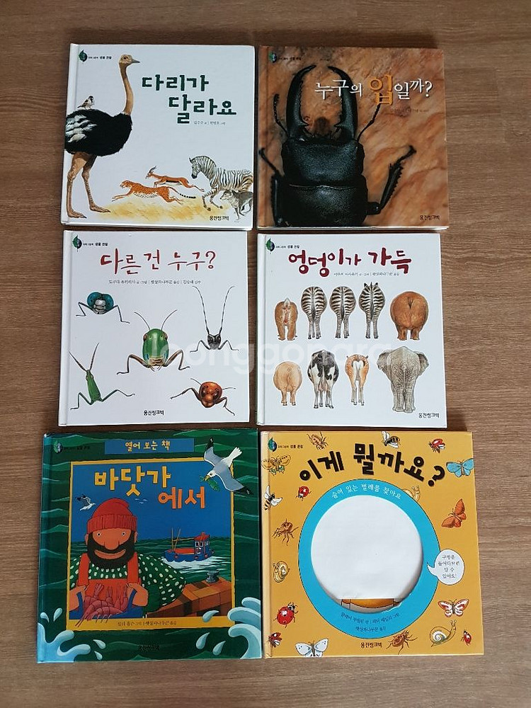 웅진반딧불 과학그림 47권 아기책 유아책 동화책--0