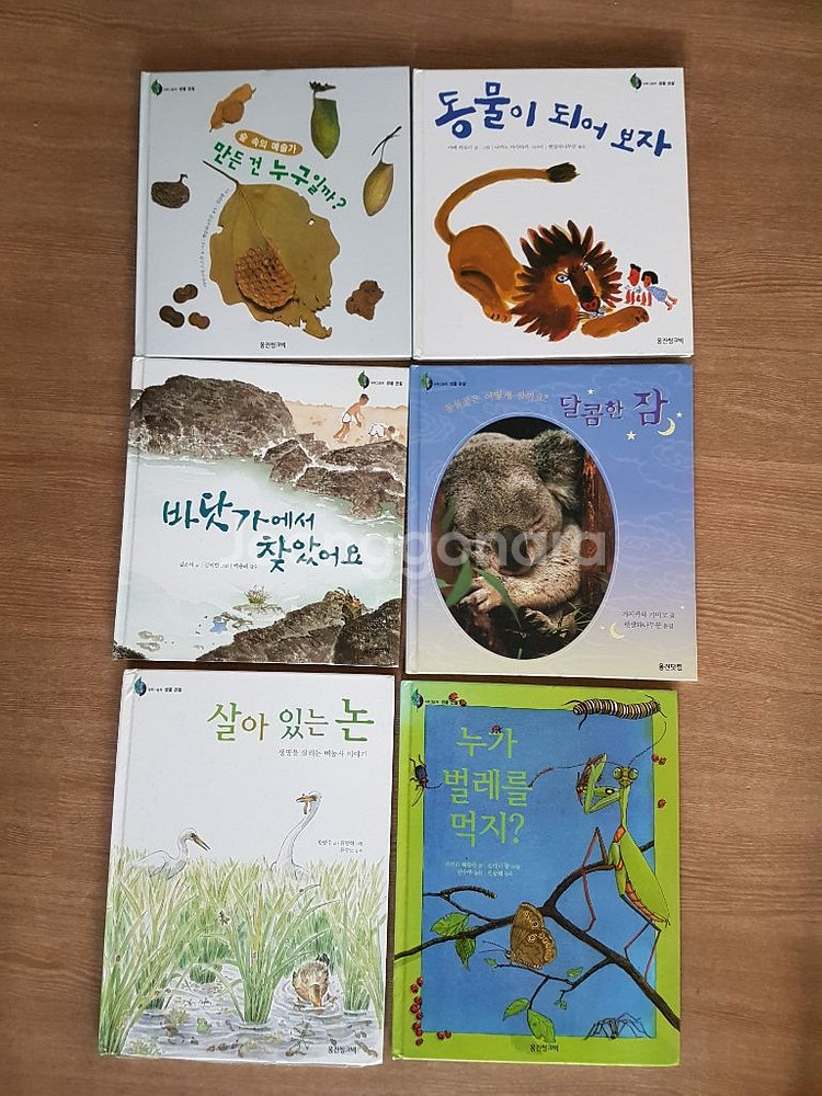 웅진반딧불 과학그림 47권 아기책 유아책 동화책--1