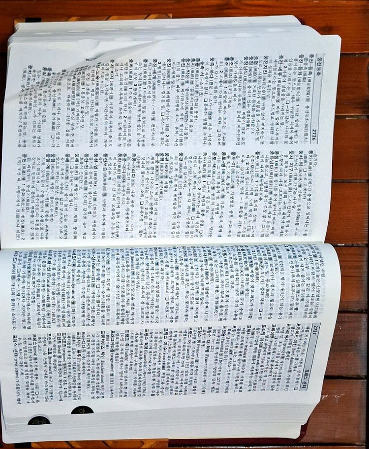 민중서림 엣센스 국어서전 전면개정판 6판 특장판--4