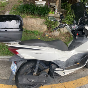 [부산 금정구]PCX125 14년식(35,000KM)