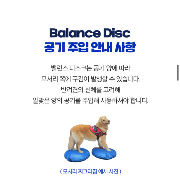강아지 애견 재활 운동 기구 핏포즈 핏본 (상태 S급)--8