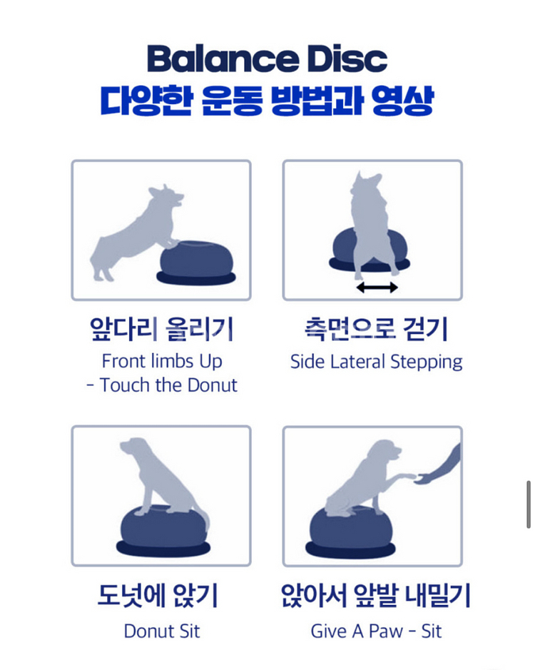 강아지 애견 재활 운동 기구 핏포즈 핏본 (상태 S급)--7
