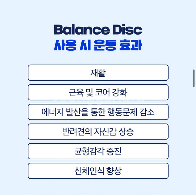 강아지 애견 재활 운동 기구 핏포즈 핏본 (상태 S급)--6