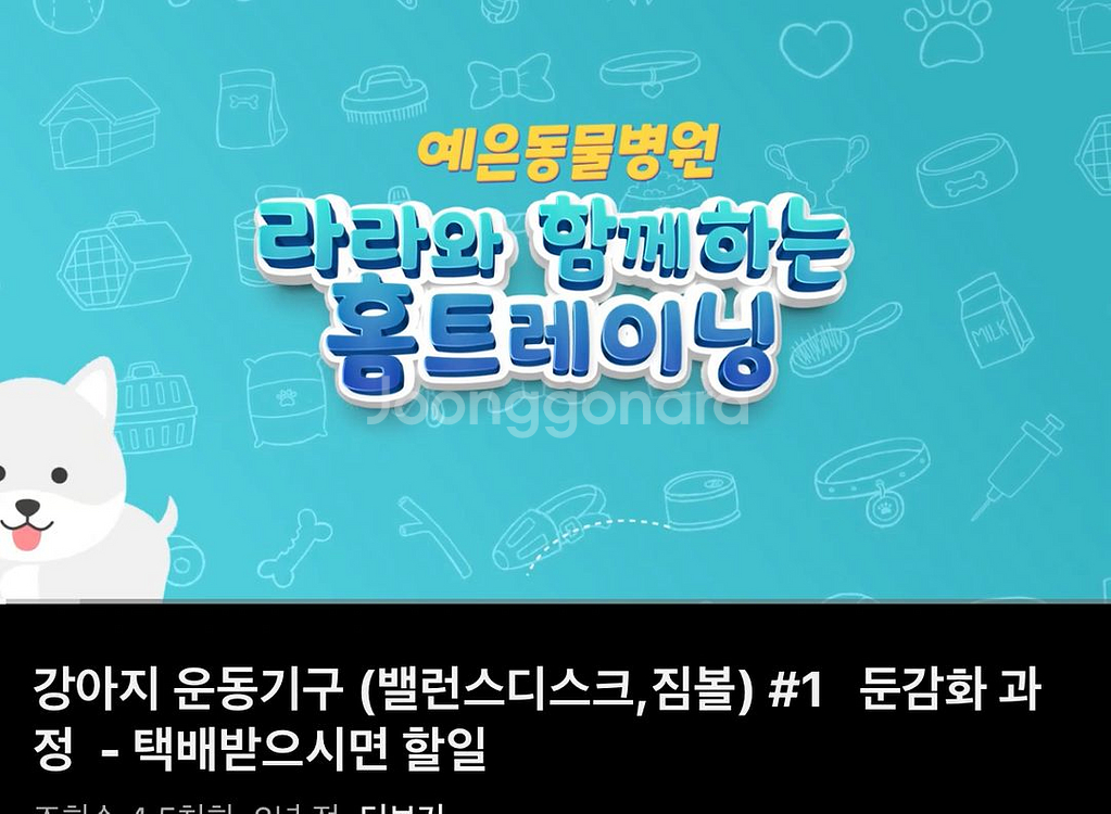 강아지 애견 재활 운동 기구 핏포즈 핏본 (상태 S급)--9